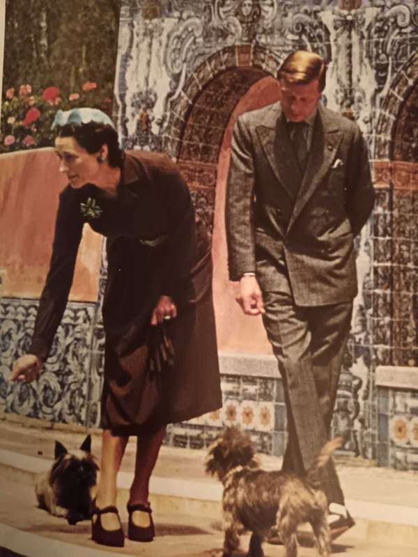 The Windsor Style  Coffee Table Book by Suzy Menkes