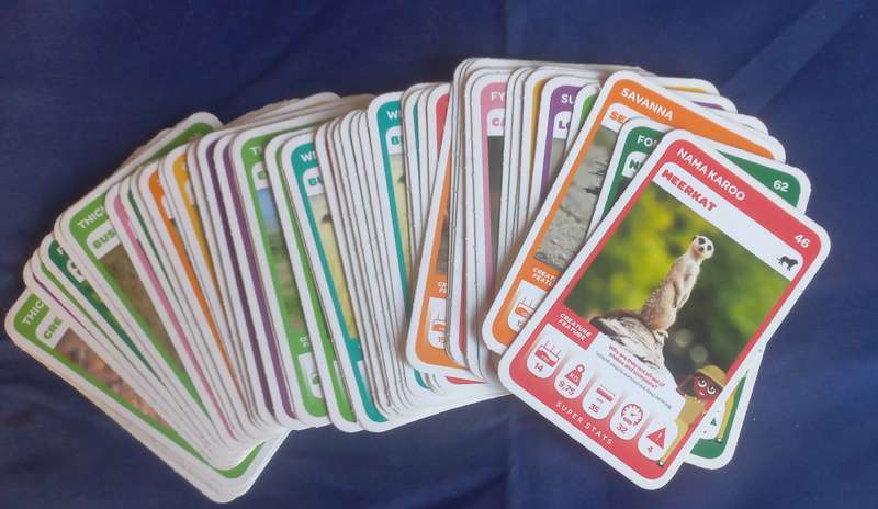 60 x South African Super Animals cards