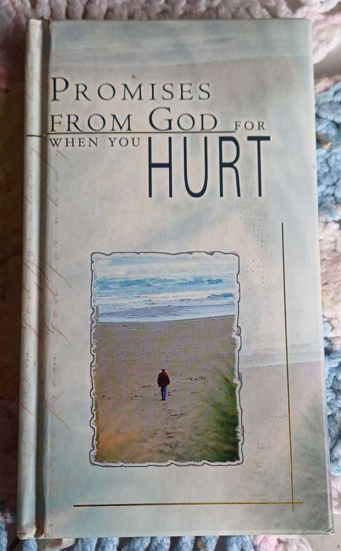 Promises from God for when you hurt