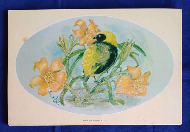 6 x Vintage placemats