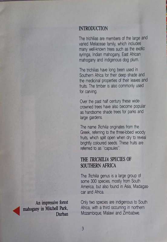Tree of the year 1991 - pamphlet 428