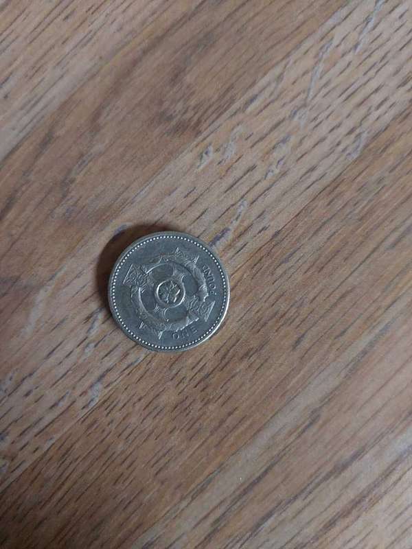 1996 queen elizabeth one pound coin
