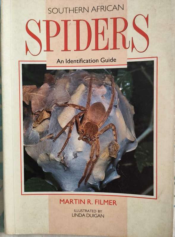 Southern African Spiders -An identification guide