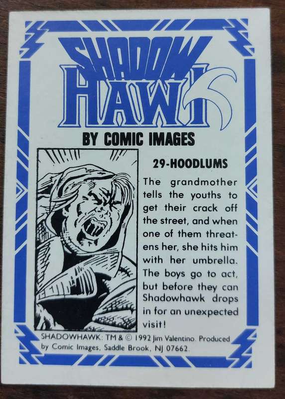 ShadowHawk #29 Hoodlums