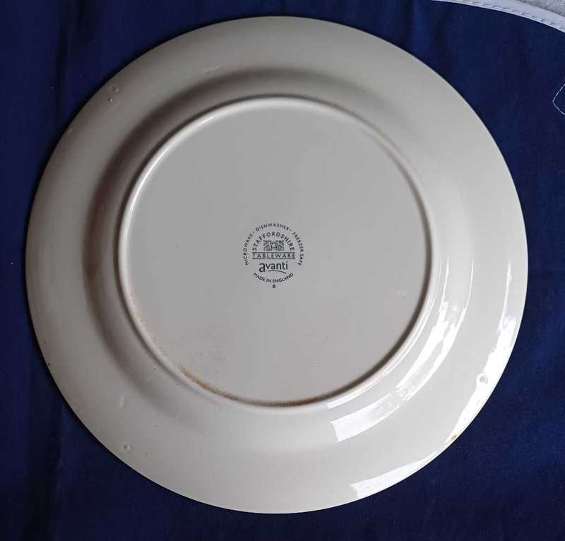 Avanti plate