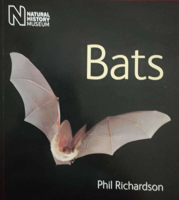 Bats , Phil Richardson