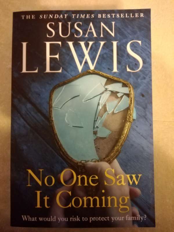 Susan Lewis NO ONE SAW IT COMING