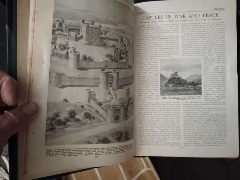 Set of Waverley Children's  Dictionary by Harold Wheeler
