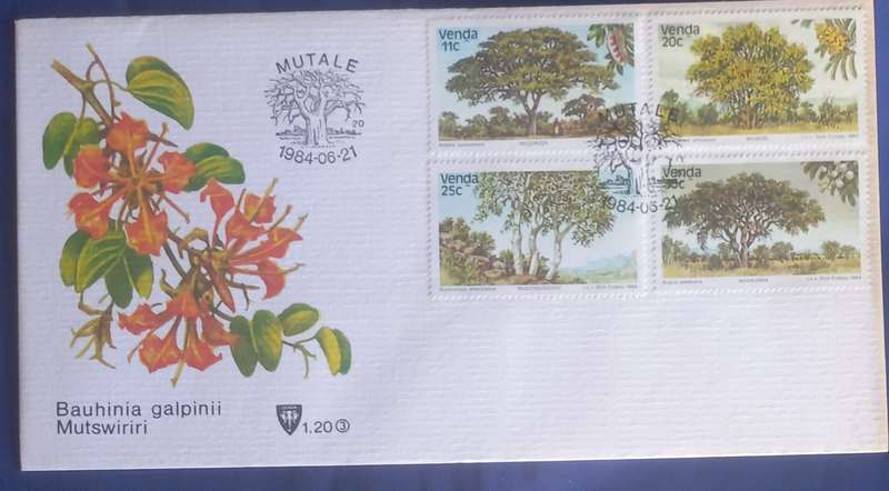 First day envelope - Bauhinia galpinii Mutswiriri Venda