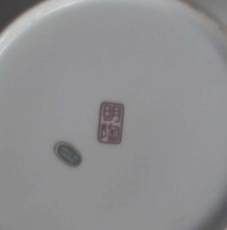 Asian plate