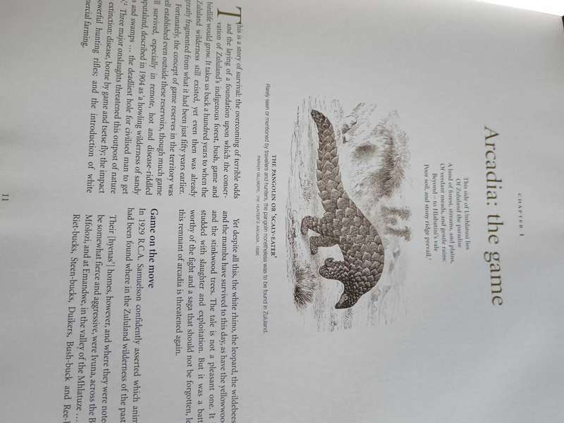 Saving The Zululand Wilderness by Donal Mc  Cracken