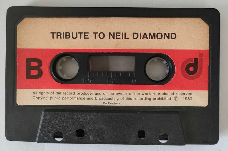 Tribute to Neil Daimond- Cover Version
