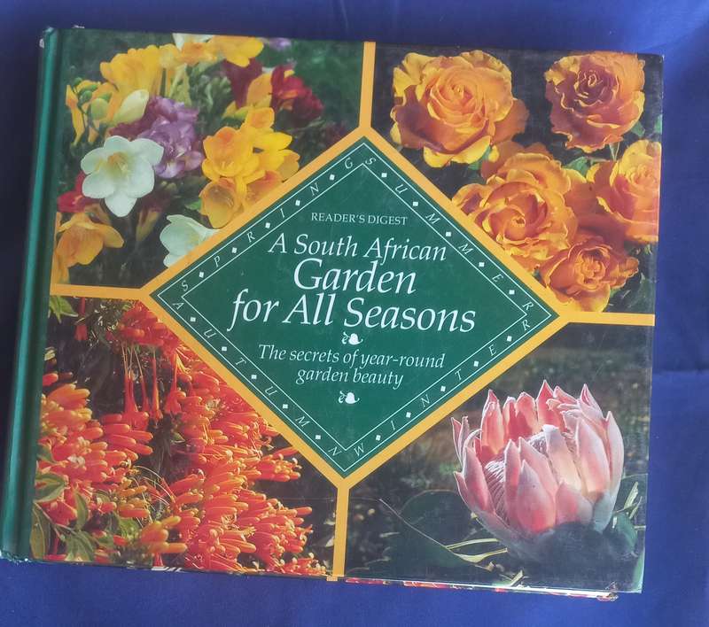 A South African garden for all seasons