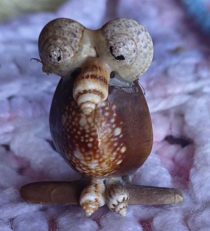 Small owl shell ornament