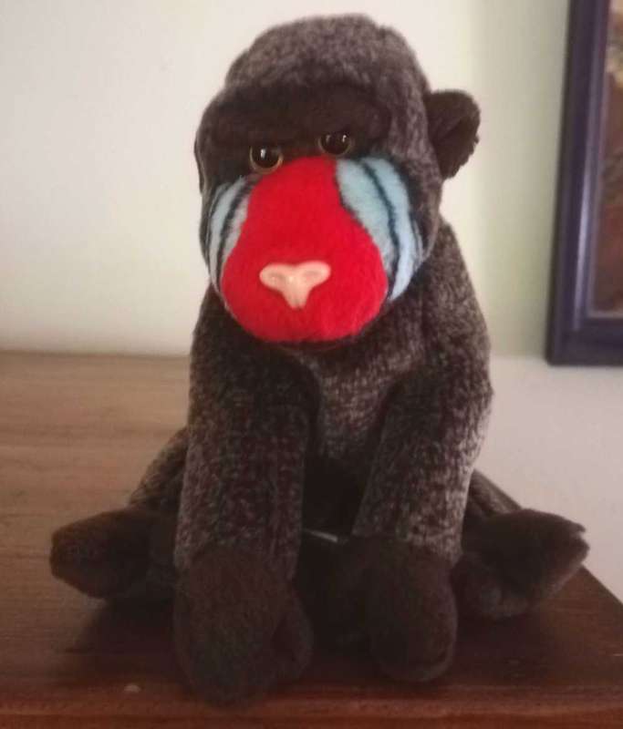 Vintage Retired, Rare TY Beanie Baby, Cheeks the Baboon. 1999. 17cm.