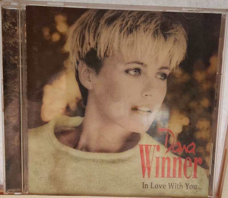 Dana Winner In Love With You   517