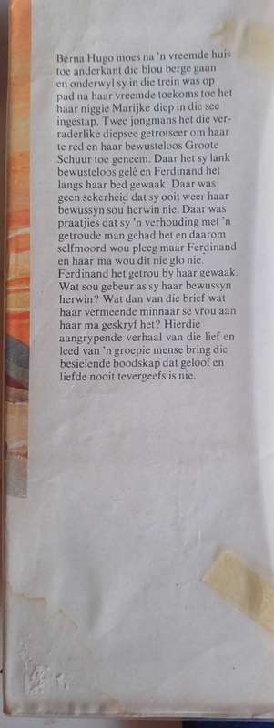 Die liefde aan die ander kant deur Nickey van Schalkwyk