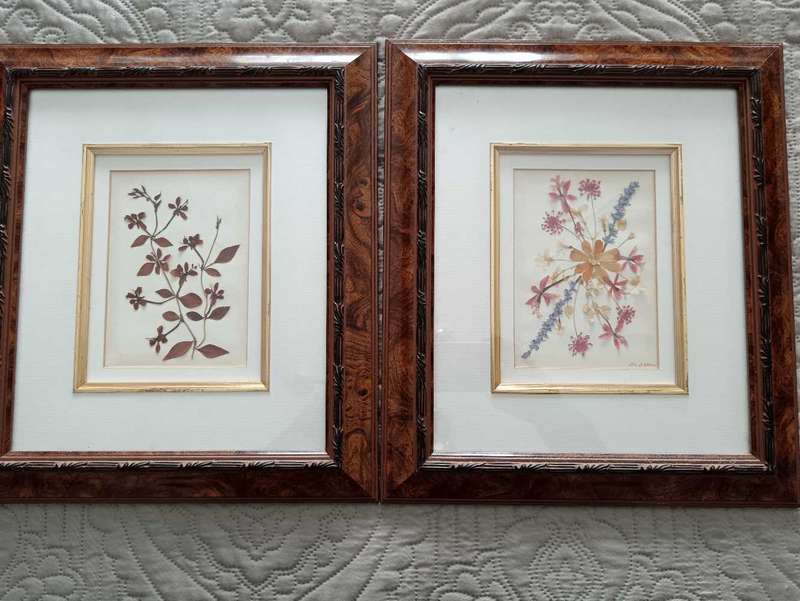 Pair of Pressed botanical flower pictures