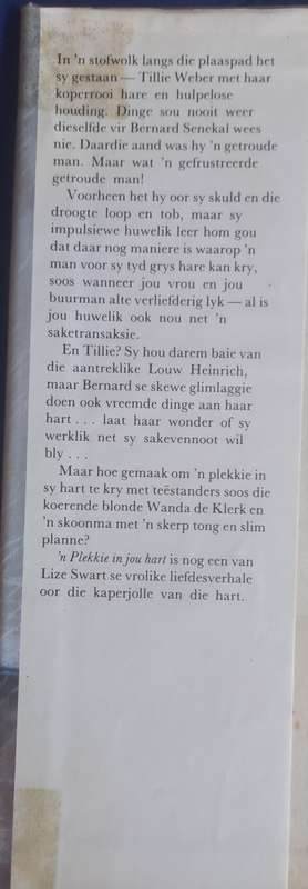 `n Plekkie in jou hart deur Lize Swart