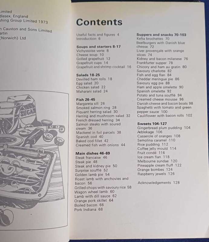 Busy cook`s book