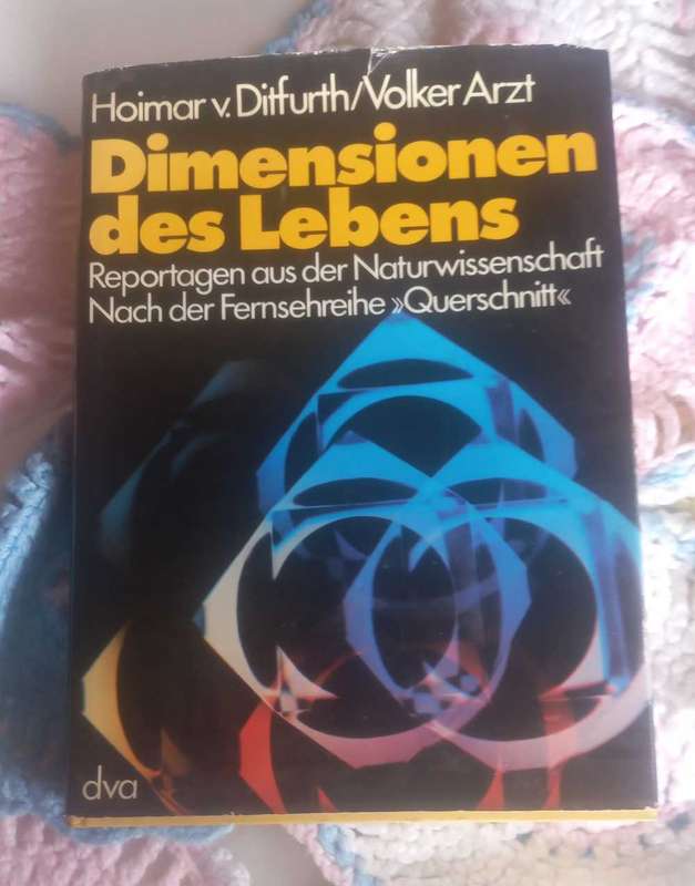 Dimensionen des lebens