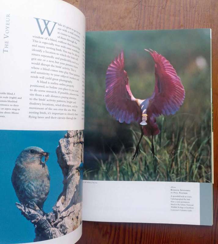Wildlife Photography - Stories from the Field by George Lepp