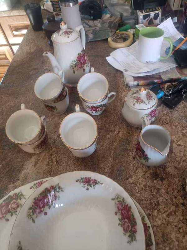 Royal China English Rose tea and Dinner set