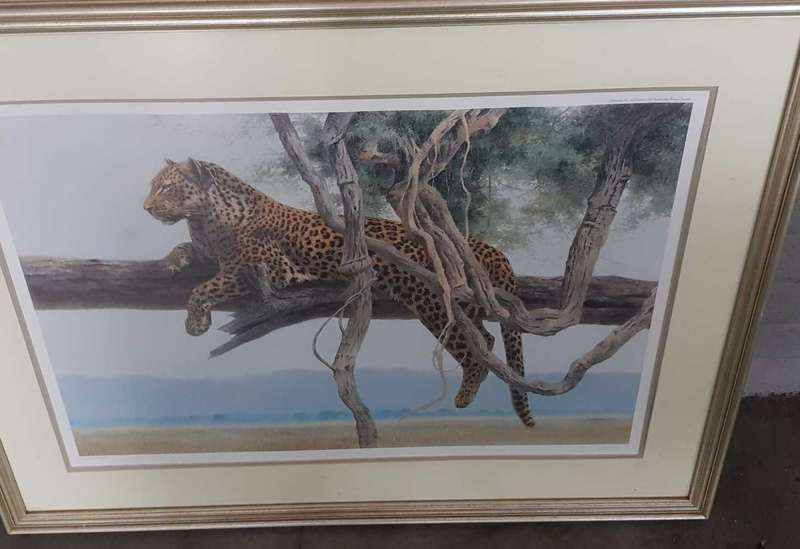 AFRICANA LITHO LEOPARD BY KIM DONALDSON LITHO
