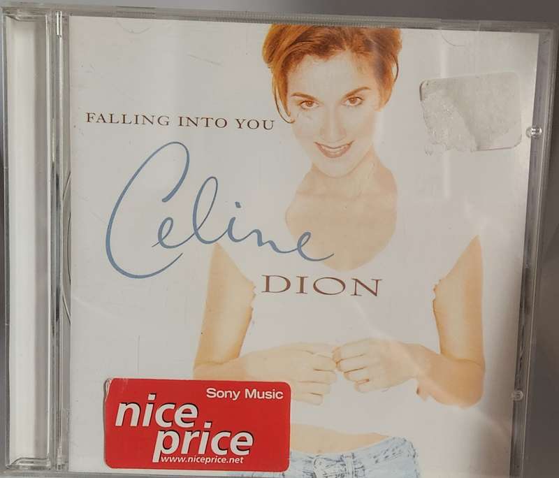 Celine Dion Falling into you     498