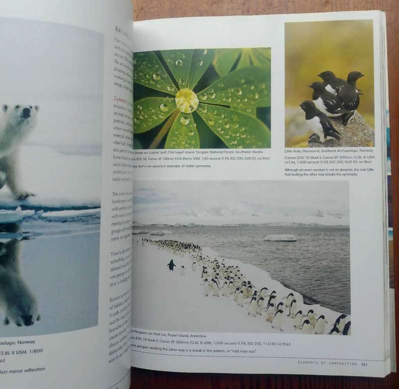 Nature Photography by Ralph Lee Hopkins (Digital Masters)