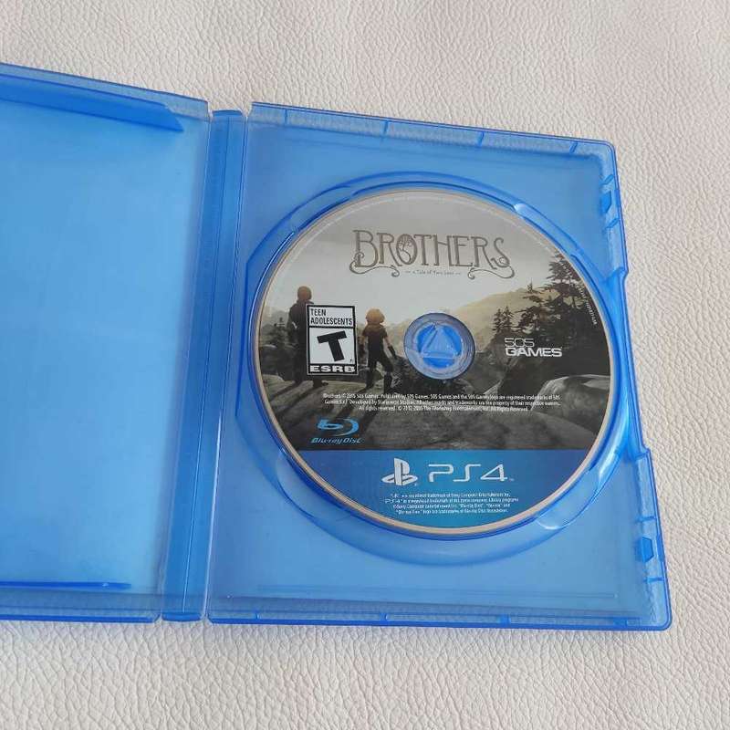 Brothers A Tale of Two Sons Ps 4