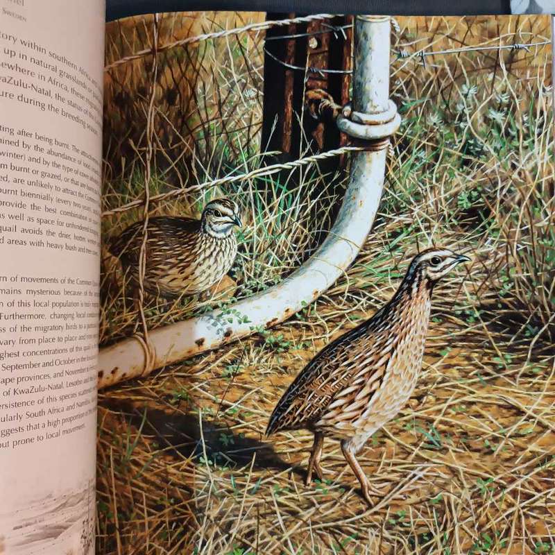 Game birds of Southern Africa