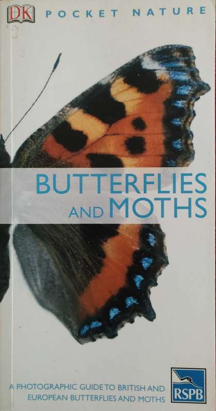 Butterflies and Moths,Pocket Nature