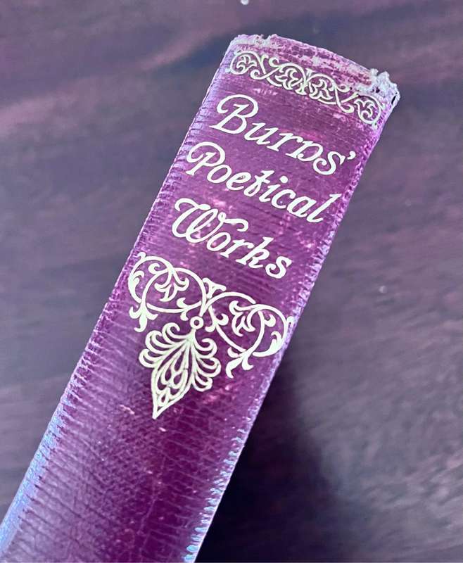 Burns Poetical Works