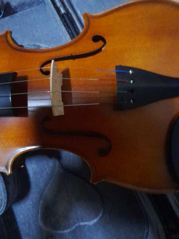 3/4 violin in Violin Case