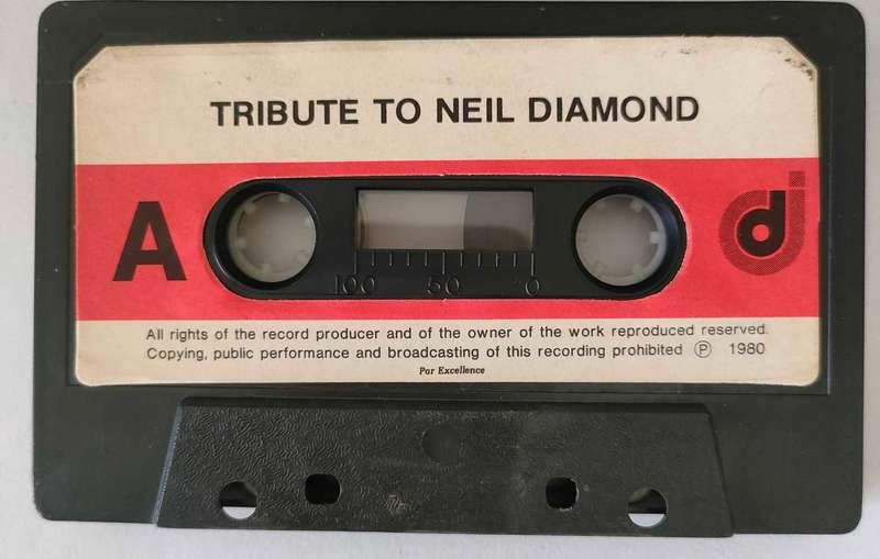 Tribute to Neil Daimond- Cover Version