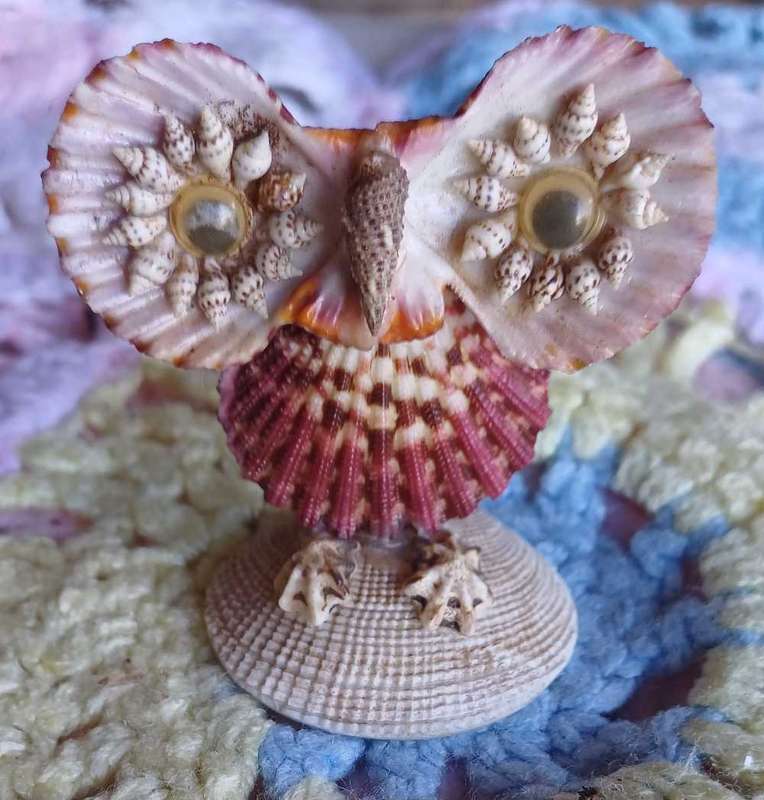 Owl shell ornament