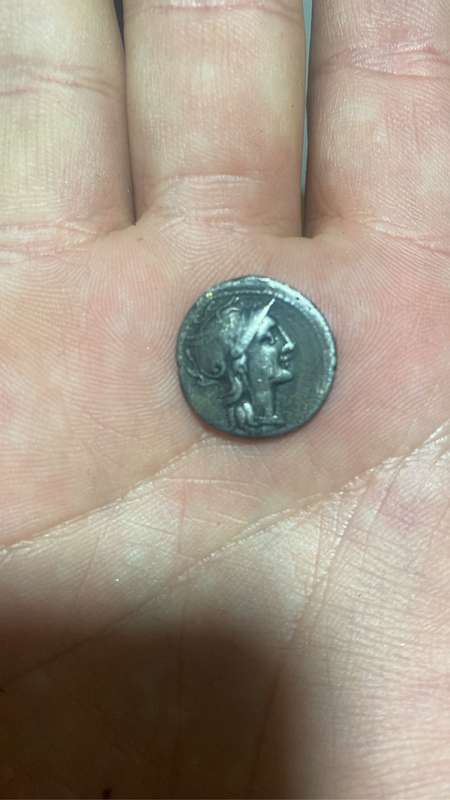 Ancient Greek Coins