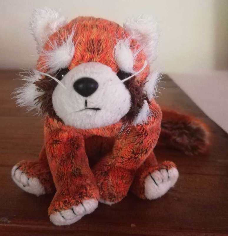 Rare TY Beanie Baby. Rusty the Red Panda. 17cm.