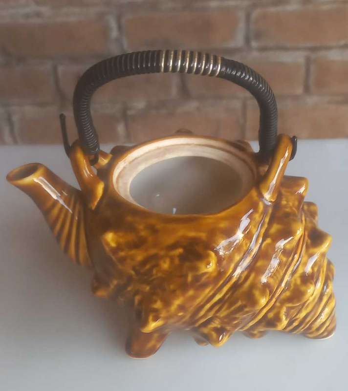 Shell teapot without lid