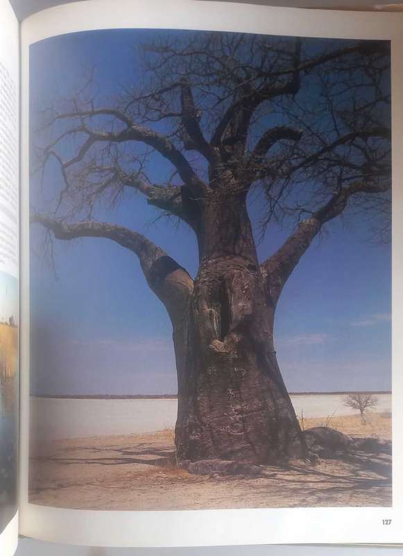 Die beeldprag van Suider-Afrika