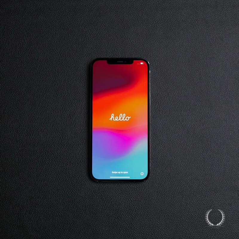 iPhone 12 Pro Max