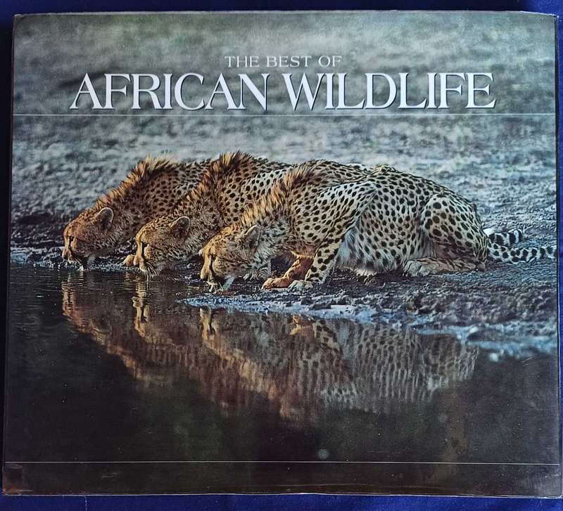 The best of African wildlife