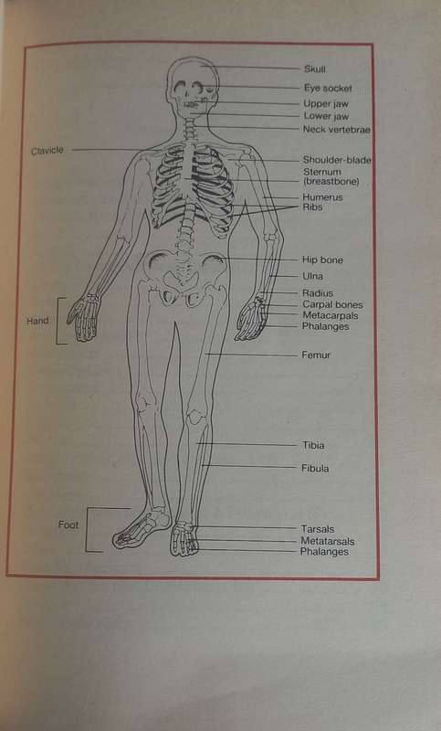 The SA home health and hygiene manual