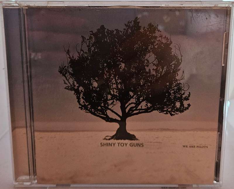 Shiny Toy Guns    (784)