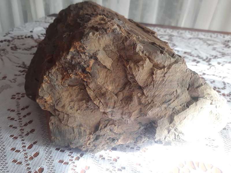 FOSSILIZED/PETRIFIED PIECE OF TREE/WOOD