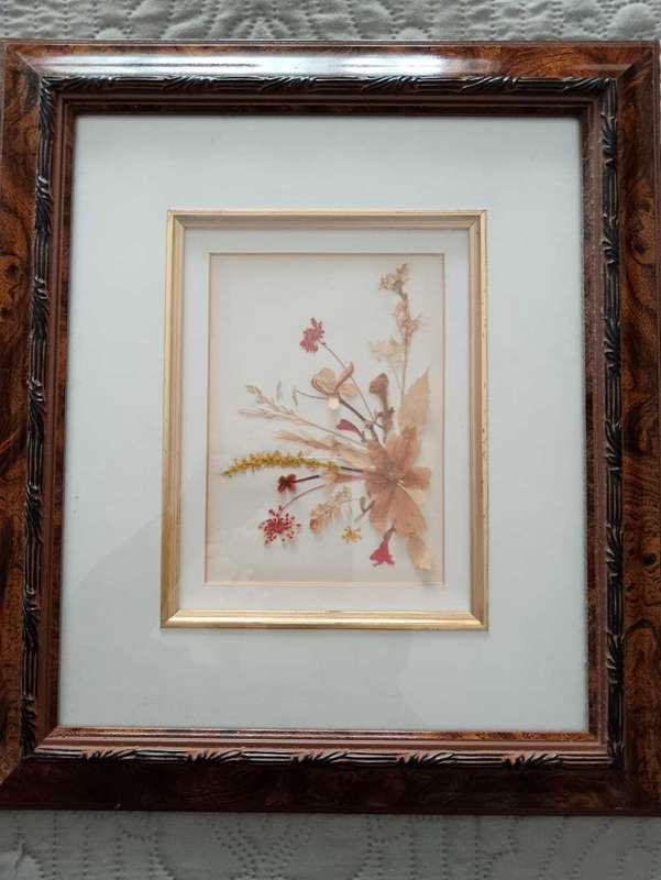 Pair of Beautifully Framed Pressed Botanical Flower Pictures