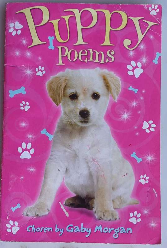 Puppy poems