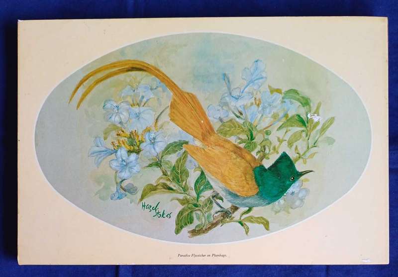 6 x Vintage placemats