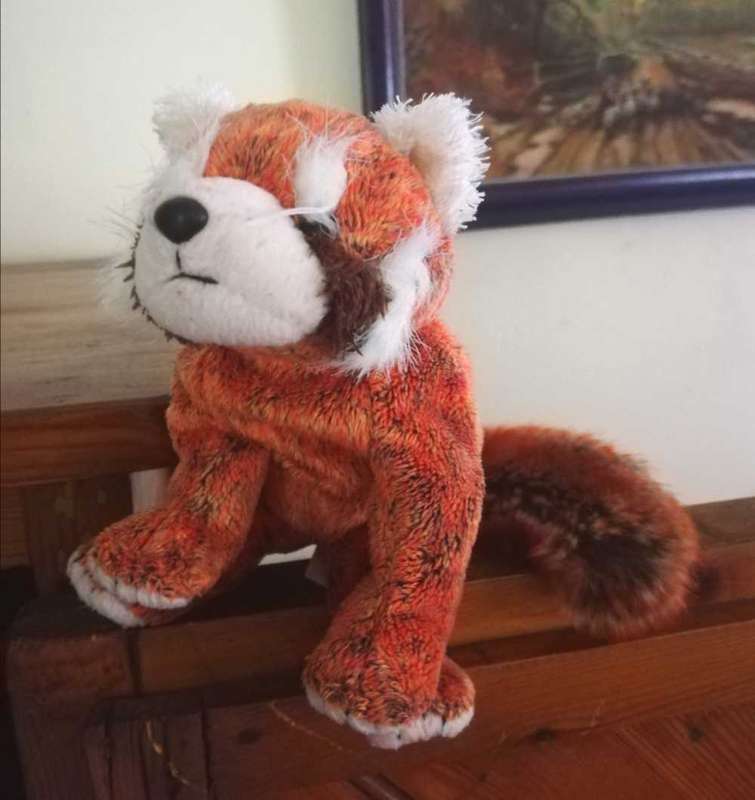 Rare TY Beanie Baby. Rusty the Red Panda. 17cm.